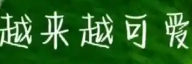 摄影技巧大全