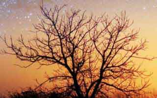 拍摄故宫技巧拍摄故宫的最佳位置